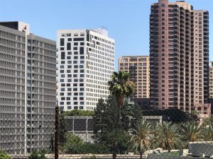 תמא 38